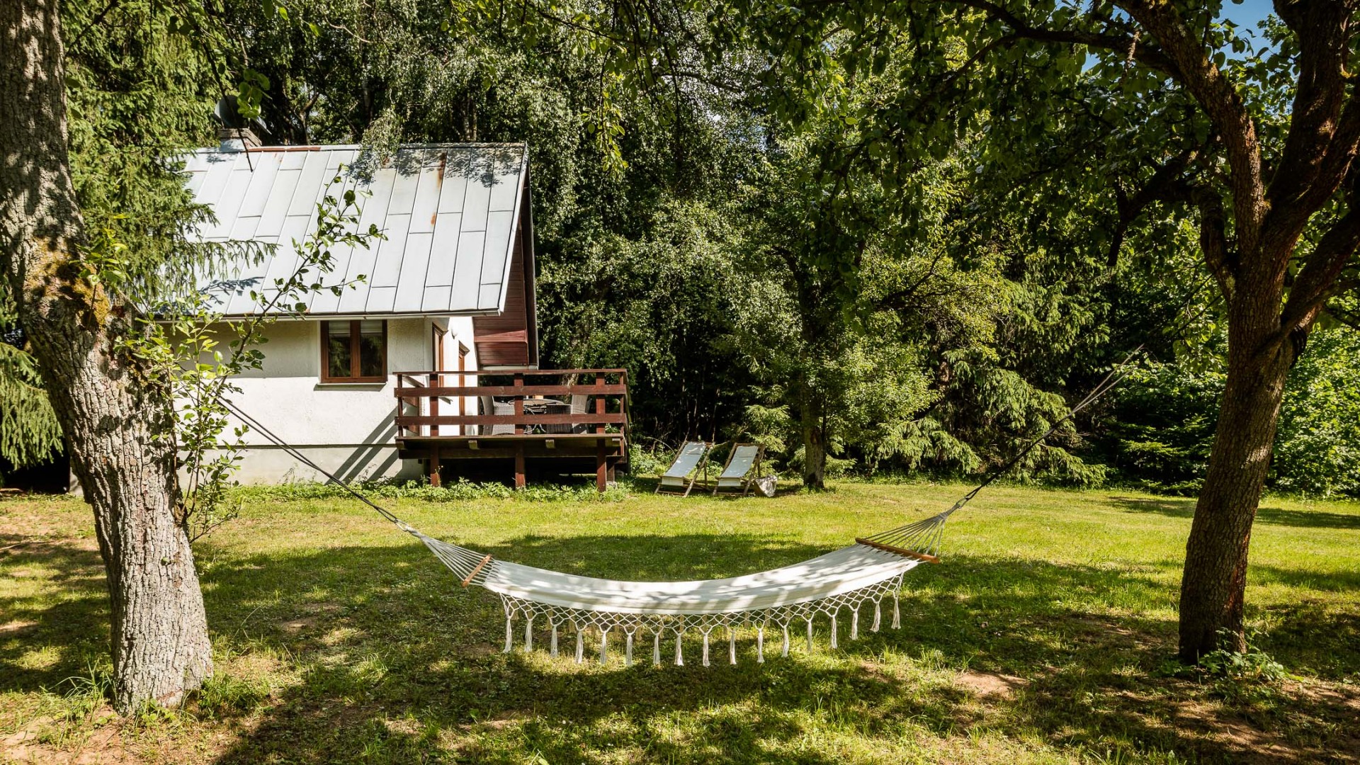 Accommodation in the forest