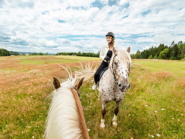 Spring Weekdays for Half Price