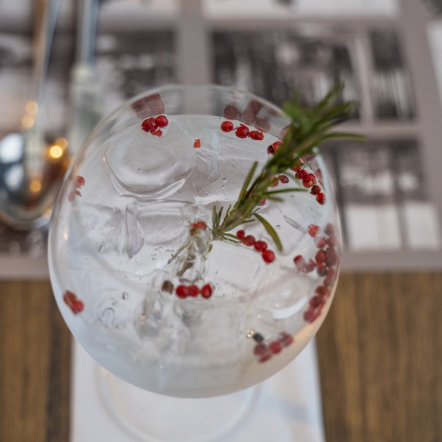 Neues köstliches Getränk - Botanist & Tonic