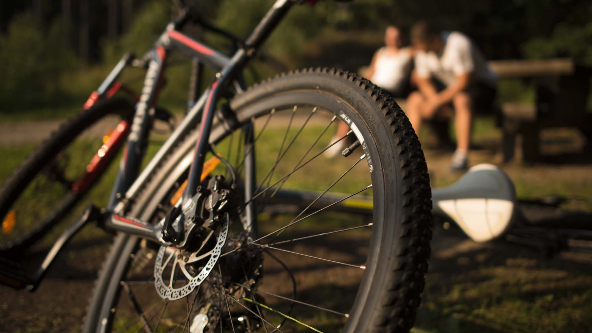 Bike trips