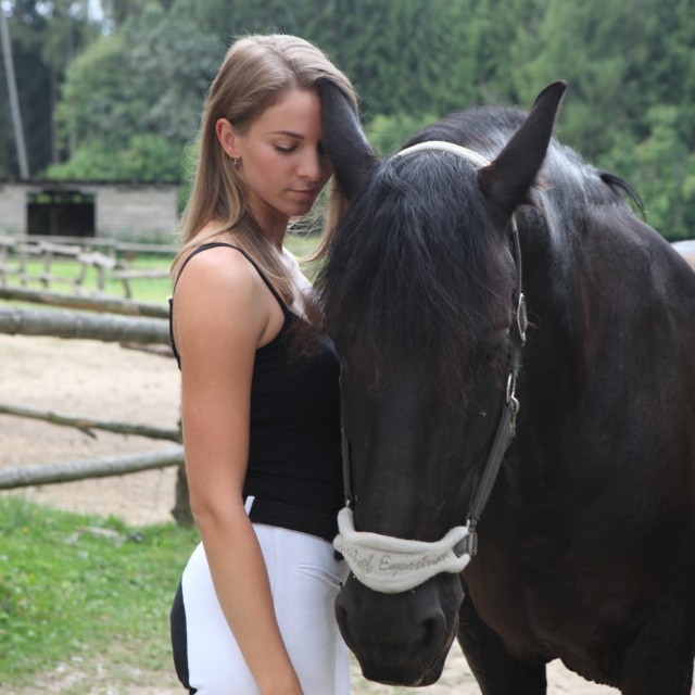 Nové přírustky do našich stájí